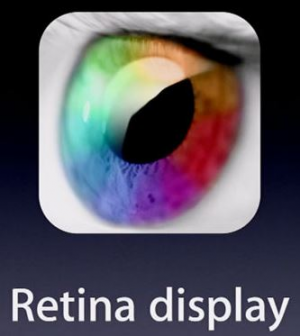  Retina